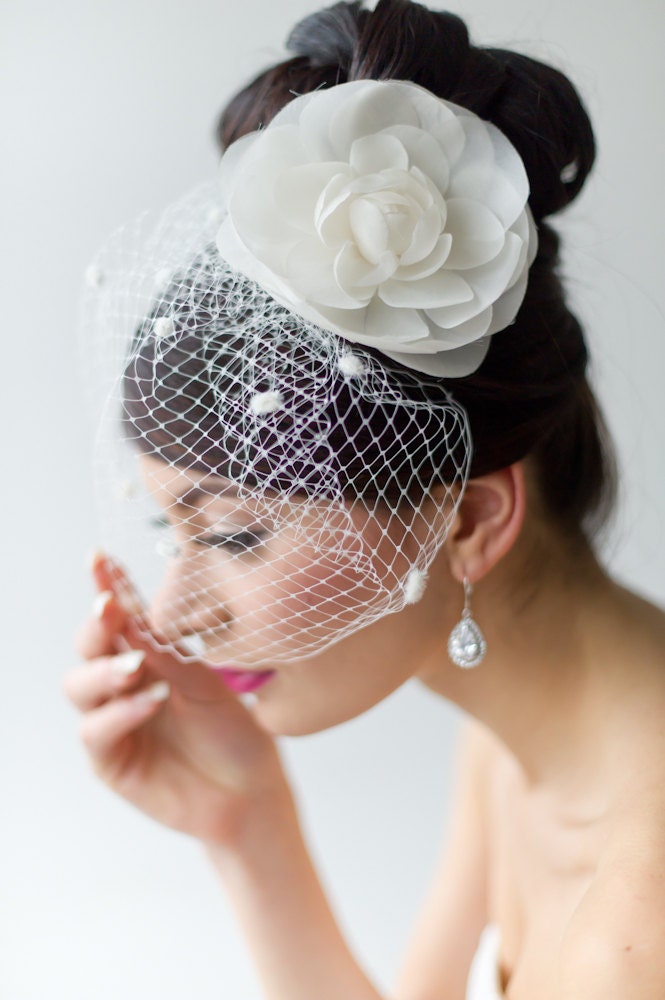 Birdcage Veil, Chenille Dot Netted Veil, Wedding Veil