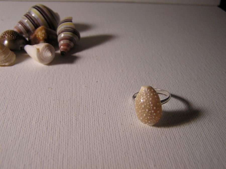 Bumpy Cowrie Shell Ring