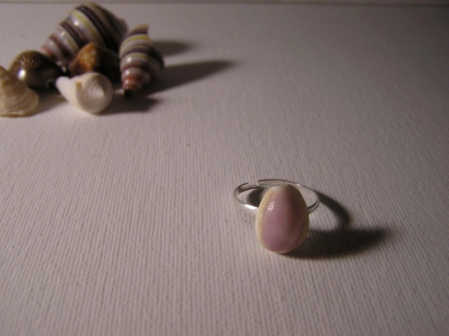 Purple Top Cowrie Shell Ring