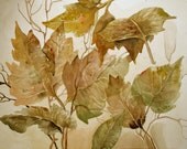 Fine Art Original Watercolor Painting One of a Kind - Rusty Leaves - 9x12
