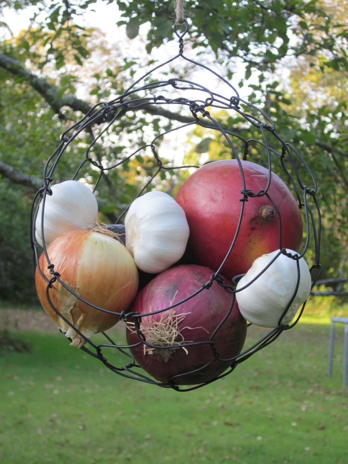 Hanging Wire  Basket