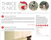Self-Hosted Wordpress Premade Blog Theme: Thrice is Nice minimalist, red, chevron, striped, photo, photography, icons, template