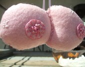 Pink Felt Soft Sculpture Boobies ( Mature Content)