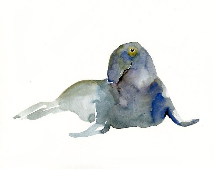 ELEPHANT SEAL by DIMDI Original watercolor painting 10X8inch