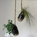Hanging Mason Jar Planter with drainage - Upcycled home & garden decor - Quart Sized Ball Jar herb and flower planter - BootsNGus design