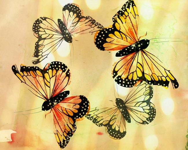 Digital Pop Art Butterfly Print, Tangerine, Persimmon, Fine Art Print, 8x10 Still Life Photo