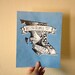 British Columbia Official Bird- Steller's Jay 8 x 10 Print
