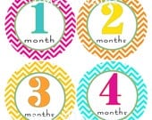 Monthly Baby Girl Onesie Stickers Chevron Fun Modern WATERPROOF Durable ready for gift giving