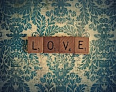 love - Still Life Photography Print