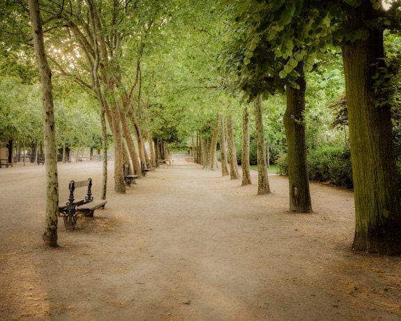 Paris Garden photograph - Luxembourg photo spring trees green park dreamy nostalgic parisian  lawn grass feminine - par0058