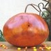 Halloween Gourd Jack- O-Lantern Natural Carved Spooky Fall Decoration Centerpiece Candy Bowl
