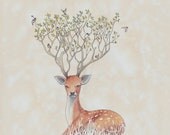 Roost limited edition giclee print