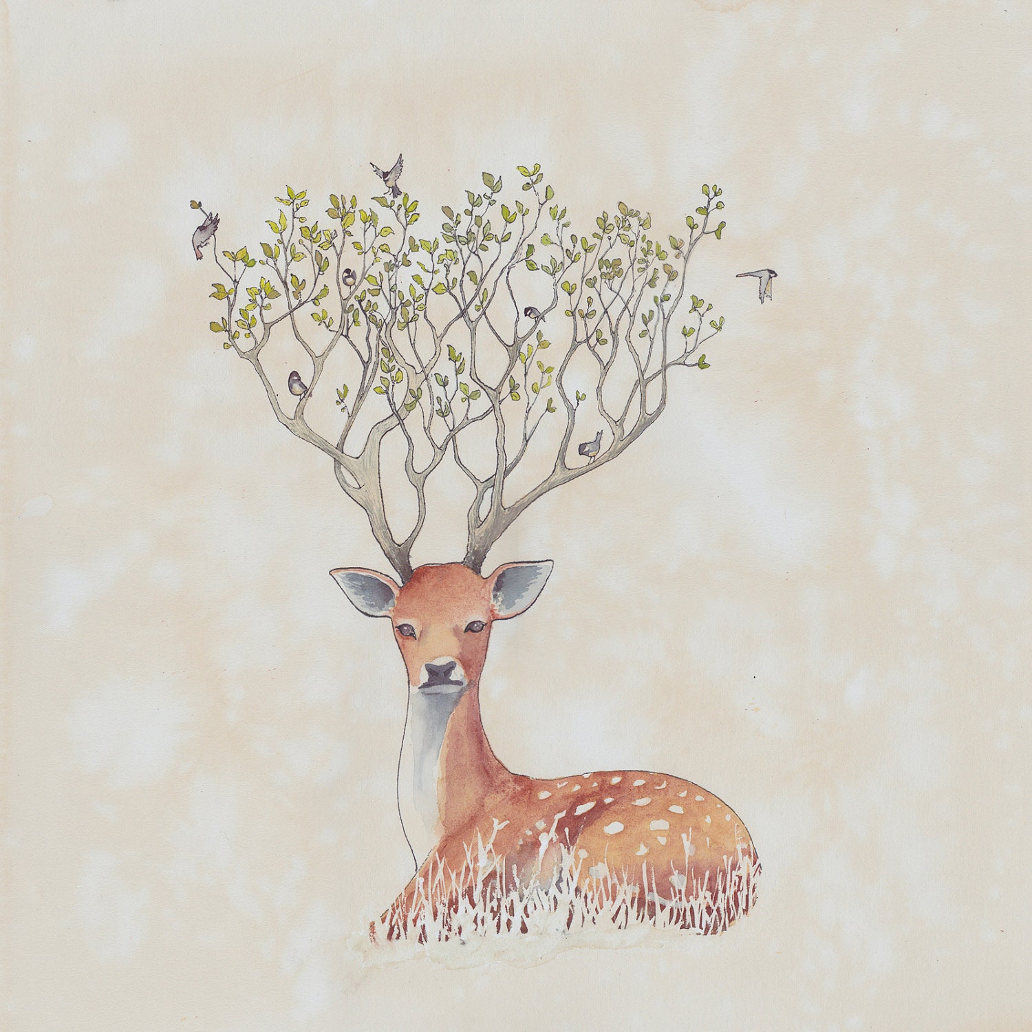 Roost limited edition giclee print