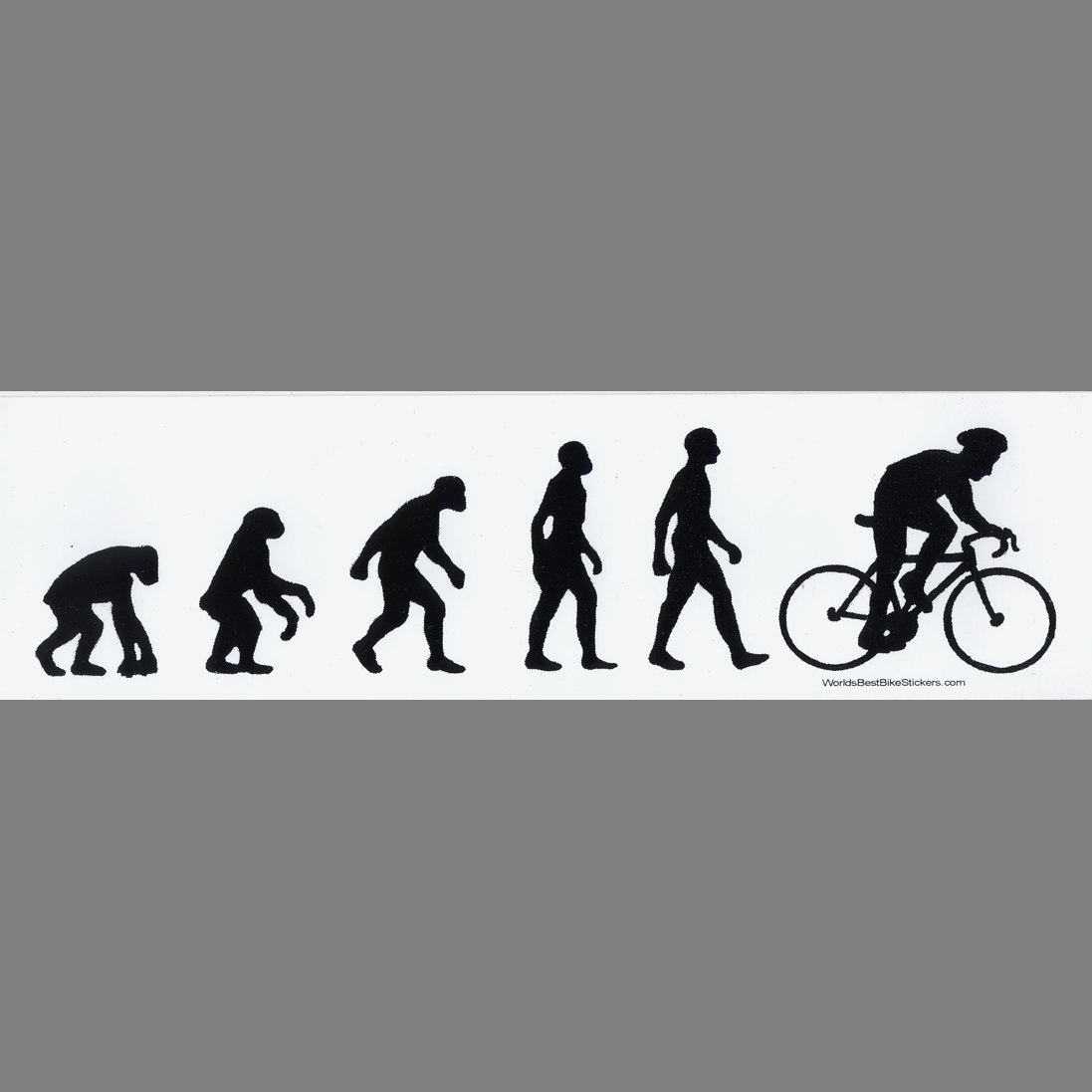 bike evolution