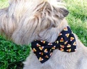 Halloween Candy Corn Bow Tie Collar for Dogs