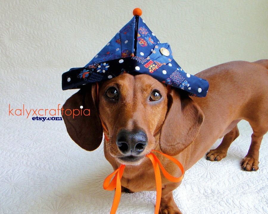 Retro Little Adventurer Happy Hound Party Hat for Imaginative Four Legged Boys and Girls - Navy Orange Napoleon