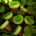 Sample Size Flower Pots for Baby Shower - reserved for Cathy