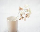 Pale Calm