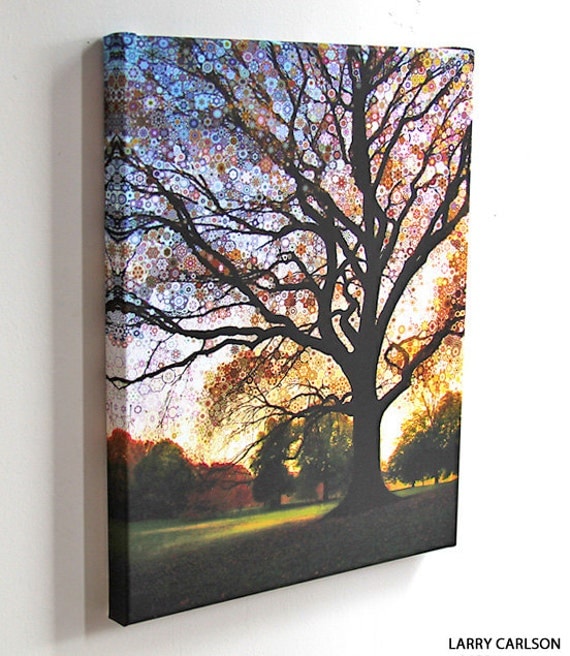 Morning Star Tree...16x20 gallery wrap canvas / fine art giclee print / nature photograph