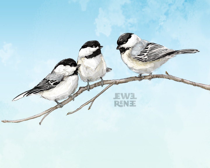 Black Capped Chickadees -11x14 Bird Art Print, Watercolor Inspired, Blue Black Grey