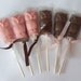 1 Order (Lot of 20) Chocolate OWL Lollipops -- Wedding favors,  Baby Shower favors  Birthday Party favors, gifts, treats, and goodies