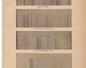 1893 solar spectra original antique celestial astronomy print - no. 2