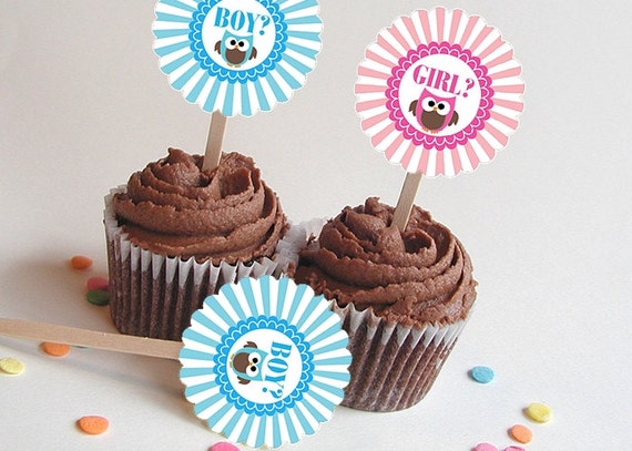 Cupcake Picks, Toppers, Baby Gender Reveal Party, Baby Shower, Owls Il_570xn