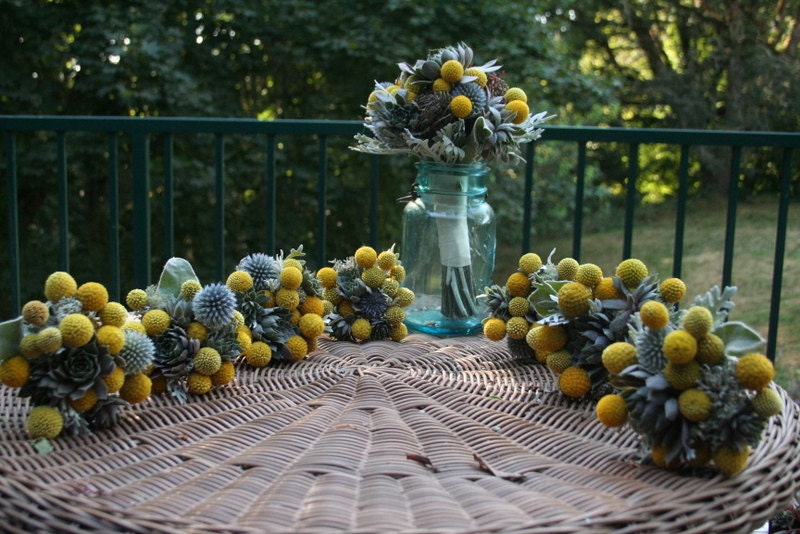 Wedding flowers, billy balls/ craspedia, succulents, blue thistle. Bouquets, boutonnieres, corsages, hair pieces. Fall/ Winter weddings.
