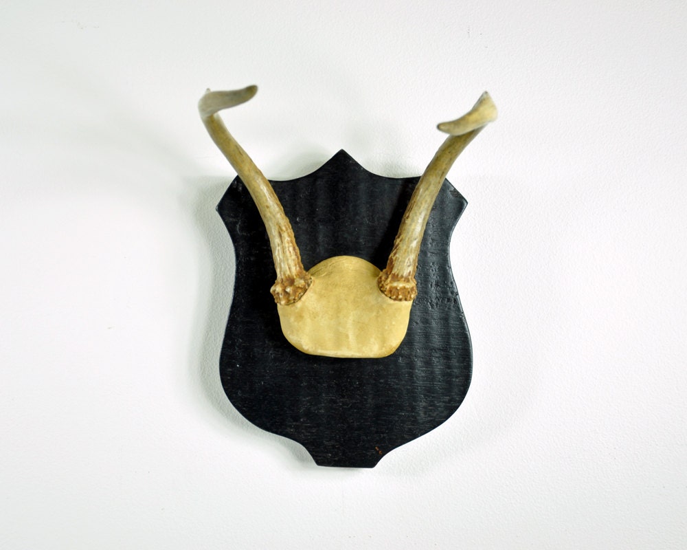 RESERVED /// Vintage Mounted Deer Antlers