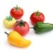 Vintage set for spices, plastic vegetables, muffineer