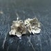 Tiny Stonecrop Rosette Posts