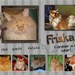 Cat memorial collage personalized frames your pet photos