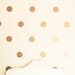 Vinyl Wall Sticker Decal Art - Polka Dots