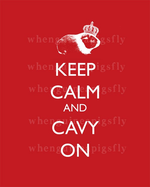 Keep Calm and Cavy On Guinea Pig Art Print 5 x 7