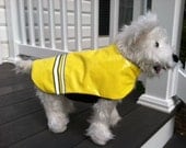 Small Dog 2 in 1 Rainjacket & Winter Coat