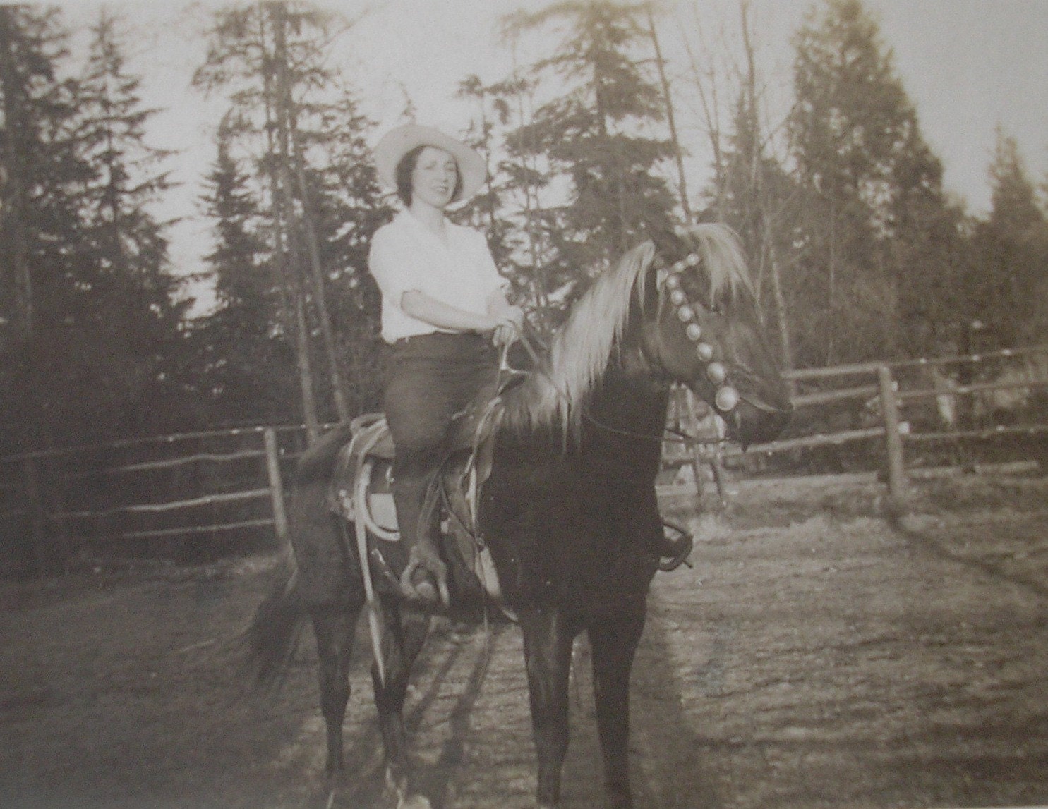RESERVED - Vintage Photo of Horse and Rider, "Fine As Wine"
