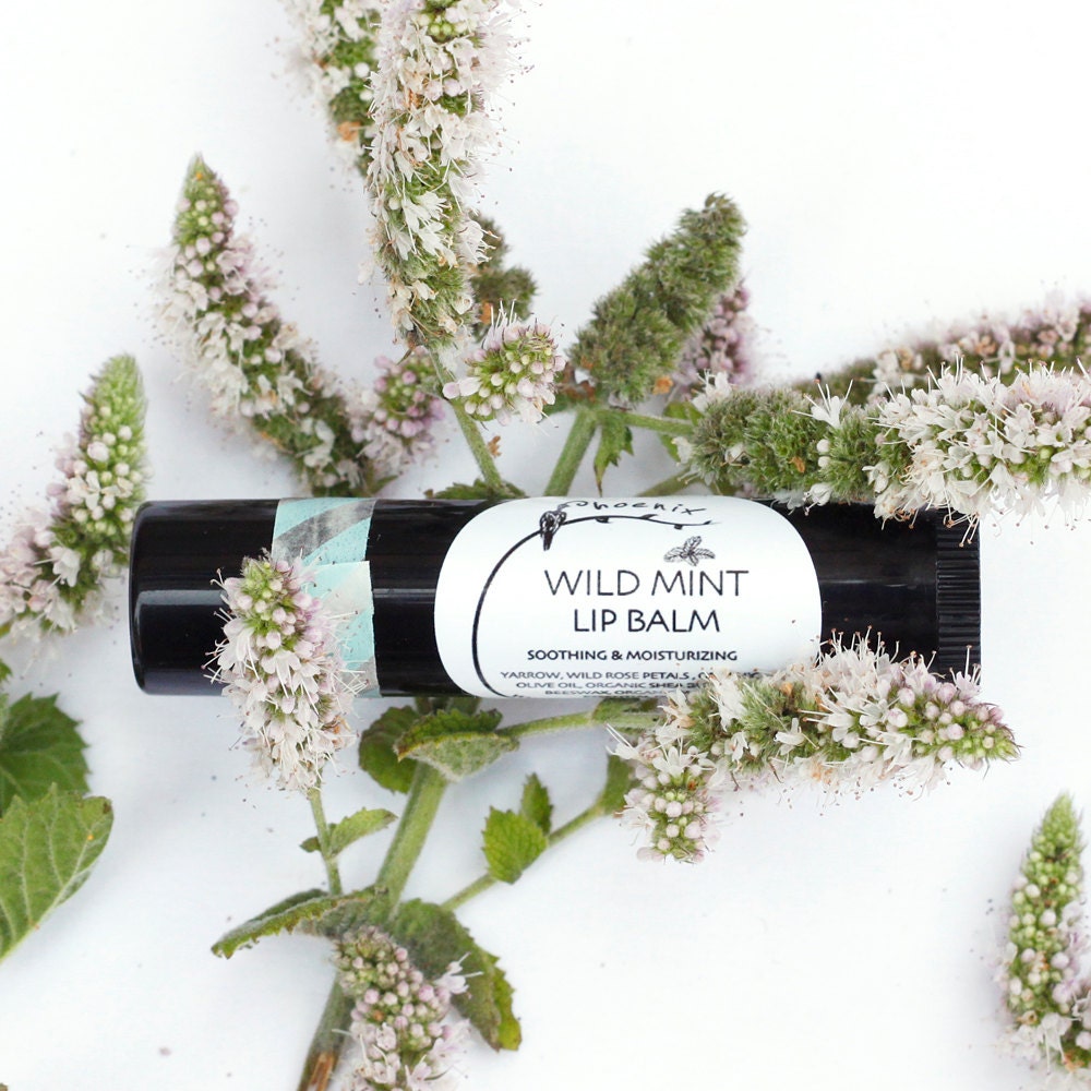 Wild Mint Lip Balm - organic herbal moisturizer - in black recycled-plastic tube
