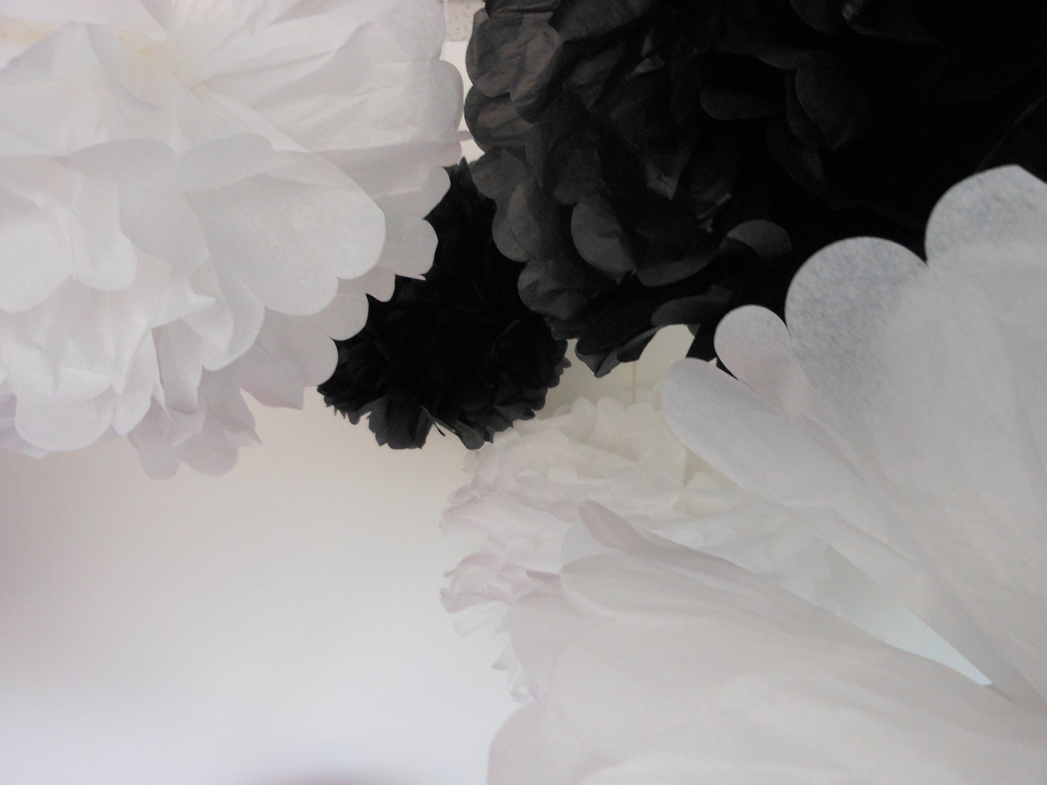 Tuxedo White and Black Tissue Poms...(5) Tissue Paper Poms Large 12" Il_170x135