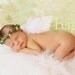 Heaven sent Portrait in a Box prop collection Newborn Woodland Halo .