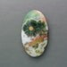 Ocean Jasper Cabochon