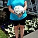 alternative wedding,  brooch Bridal bouquet, bridal brooch dream bouquet, jeweled Bridal bouquet