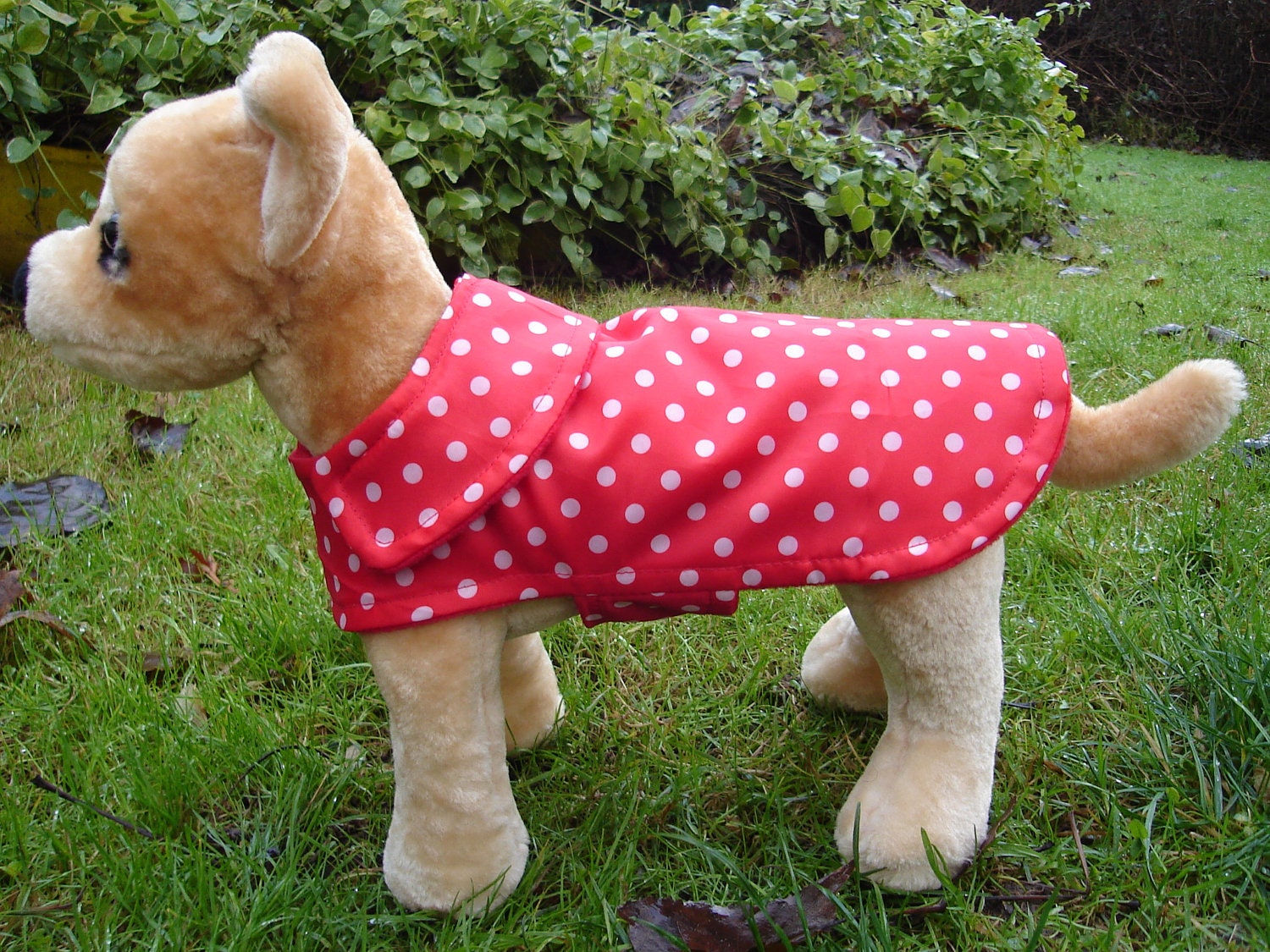 Dog Coat - Red and White Polka Dot Raincoat- Size XX Small- 8 to 10 Inch Back Length - Or Custom Size