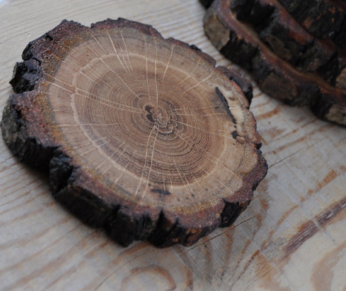 Natural Oak wood Coasters ... set of 6