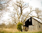 Old Friends, 8x10 fine art photograph