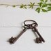 Vintage skeleton keys, Two French keys on a key ring