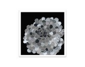 Flower FINE ART PRINT  Large modern Marigold -black silver gray textured look