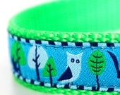 Fox and Owl on Blue Dog Collar
