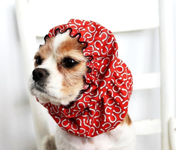 Lucky Horshoes Dog Snood / Cavalier King Charles or Cocker fabric ear covering