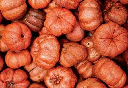 Putka Pods (orange, mini pumpkins, Halloween, Fall, Autumn, harvest, Thanksgiving,  Mabon, Samhain)