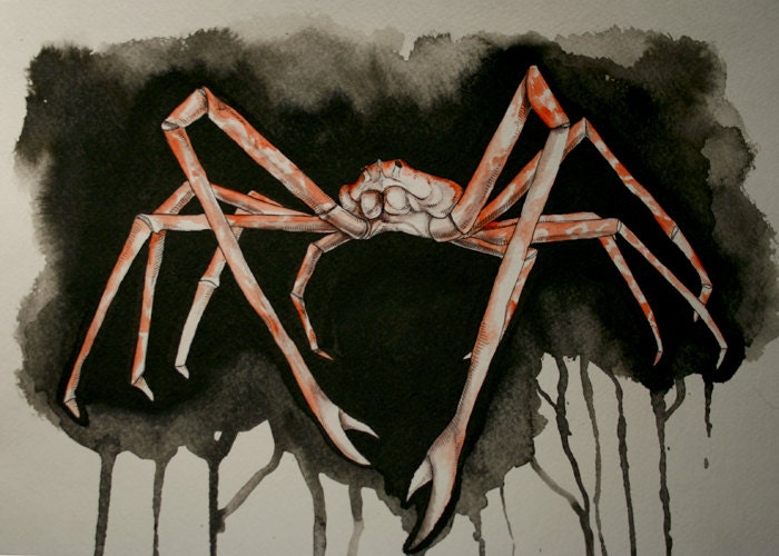 Japanese Spider Crab Original Illustration by taylorbrynn on Etsy